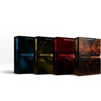 25 Server Bundle For Oracle VPD PEPs