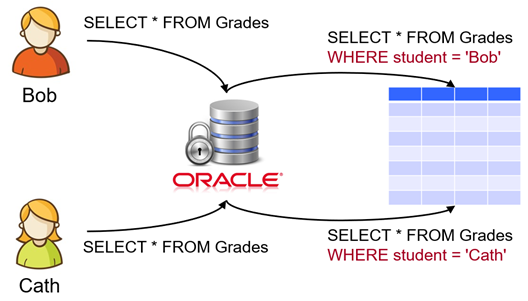 Software For Oracle VPD PEP Software For Oracle VPD PEP