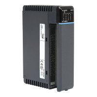 AUTOMATION DIRECT D4-16ND-2 16-POINT 12-24 VDC CURRENT SOURCING INPUT MODULE, 2 COMMONS (ISOLATED), REMOVABLE TERMINAL