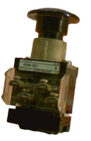 ALLEN BRADLEY 800H-DK2A PUSHBUTTON SWITCH SPRING RTN 10AMP 600VAC 1NC/1NO