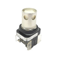 ALLEN BRADLEY 800A-L2CC24 PILOT LIGHT, STAB TYPE TERMINATION, EXTENDED HEAD, RECTANGULAR BEZEL, CLEAR, INCANDESCENT, 24V AC/DC, NO FACTORY ASSEMBLY