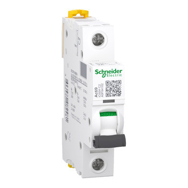DP-MINIATURE BREAKER 1P 2A C CURVE SCREW TERMINAL
