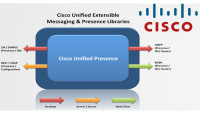 Cisco Unified Presence 7.0 License